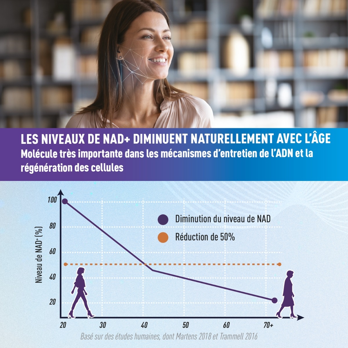  Diminution du taux de NADH
