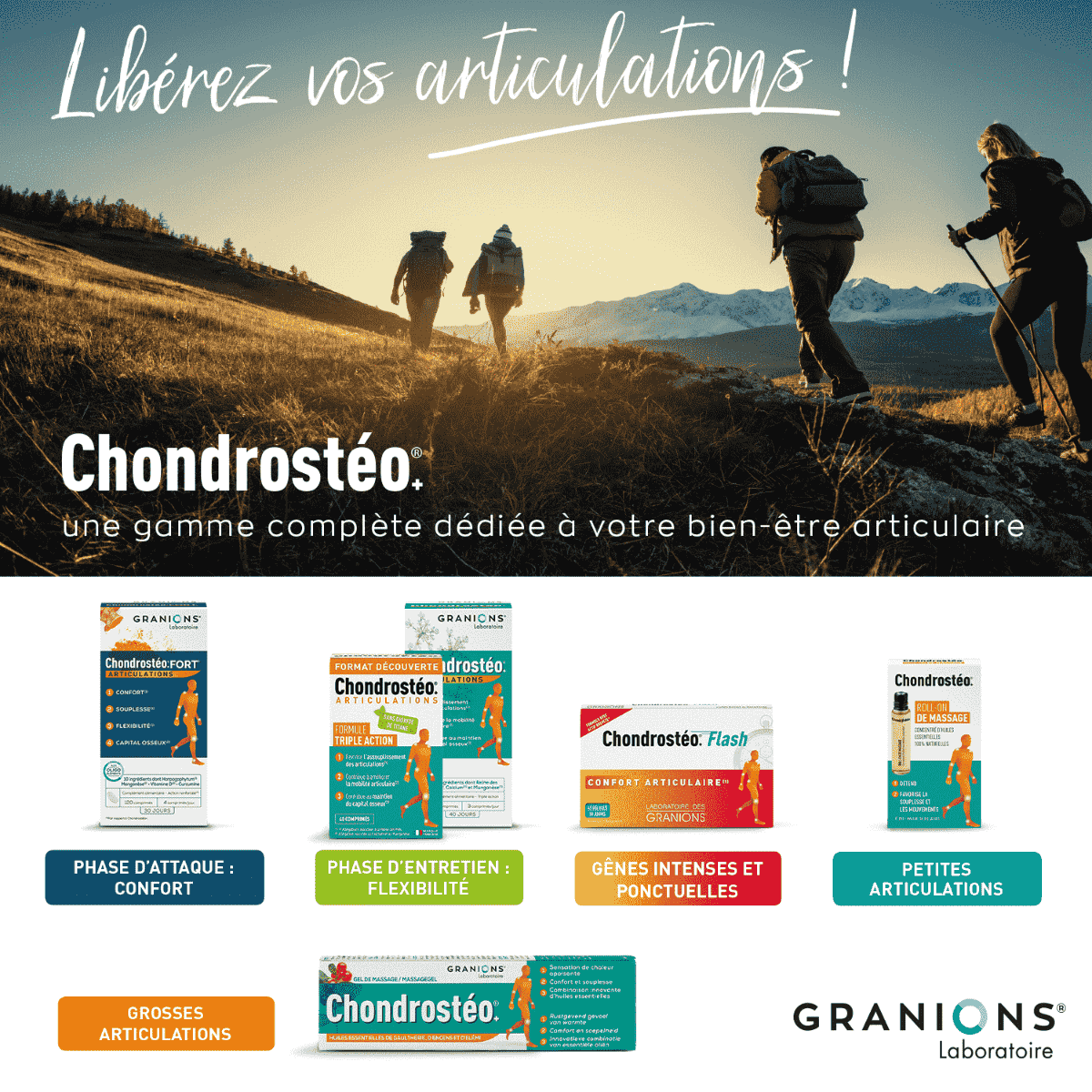 Gamme chondrostéo