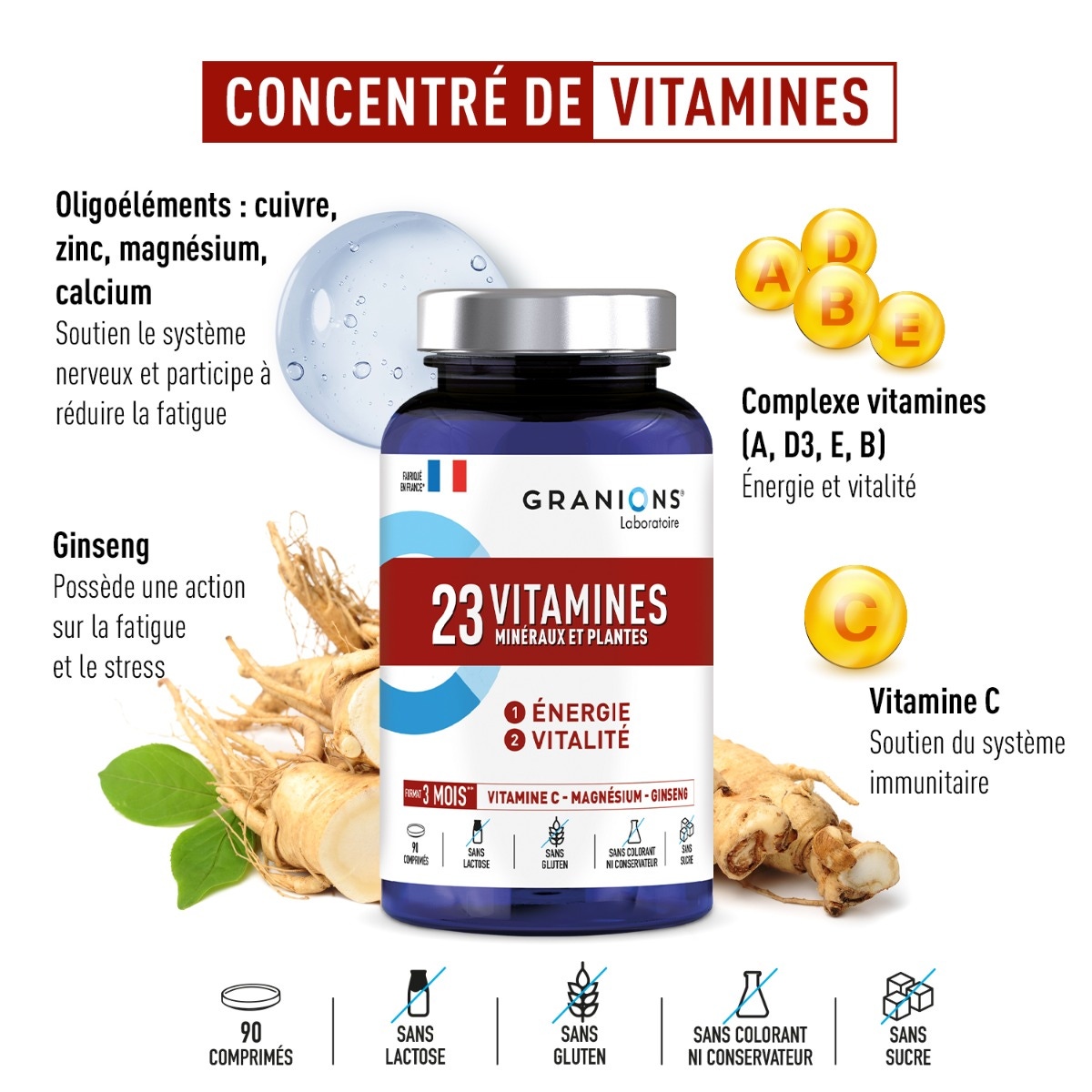 Ingrédients 23 Vitamines Minéraux et Plantes 90 comprimés
