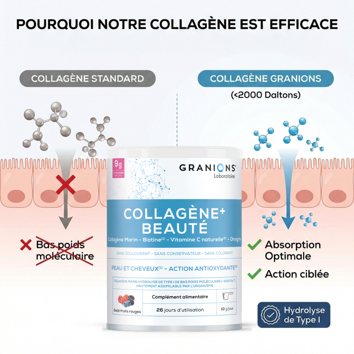 Collagène+ Beauté goût fruits rouges 