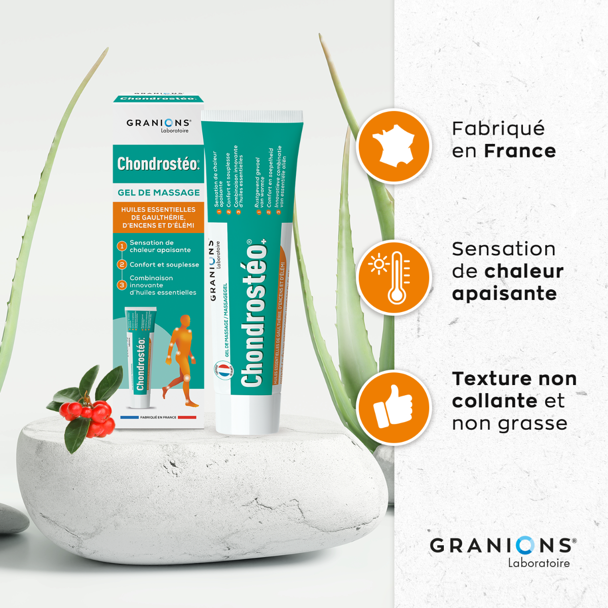 Duo Chondrosteo 90 cp + Gel OFFERTO