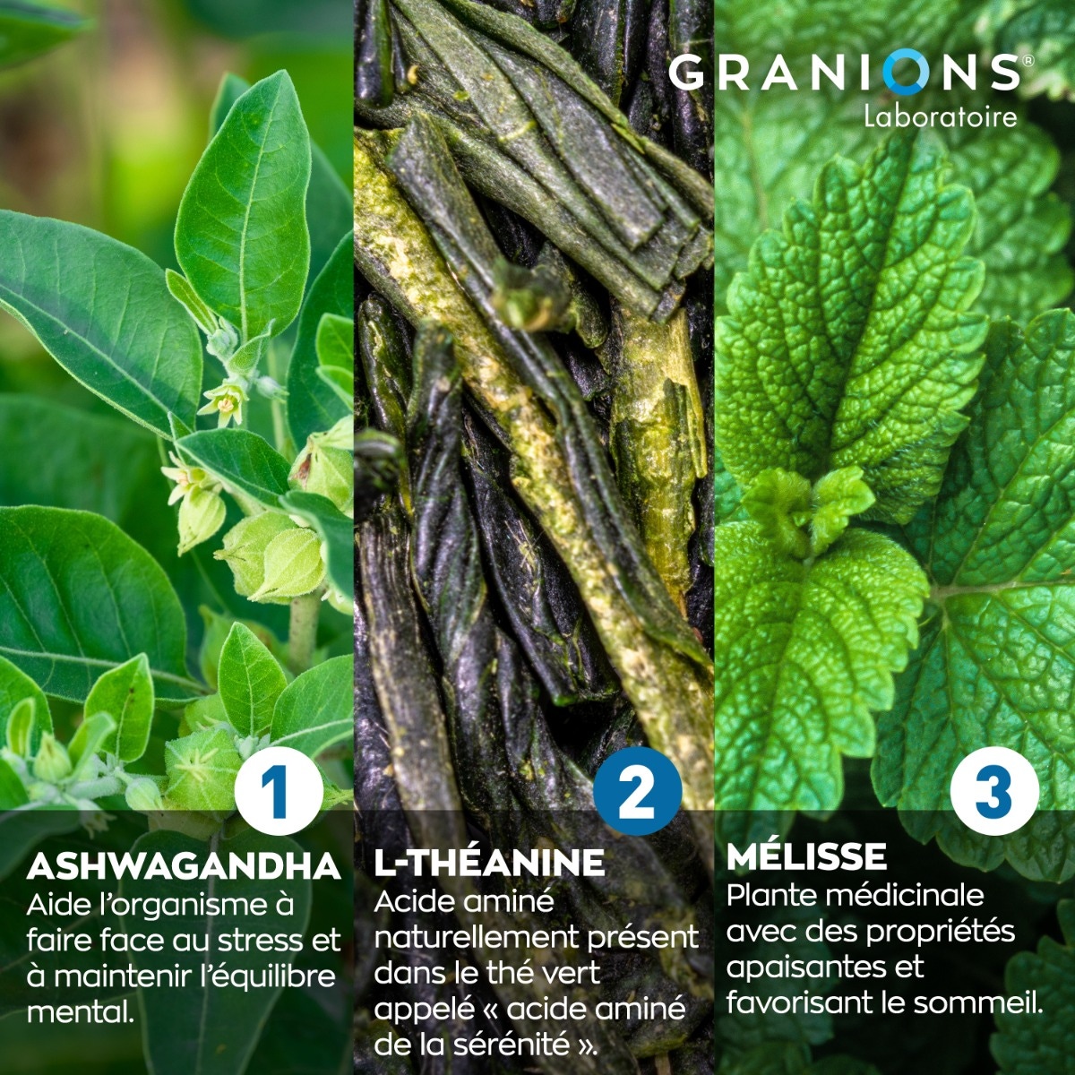 Granions - Cortisol Balance