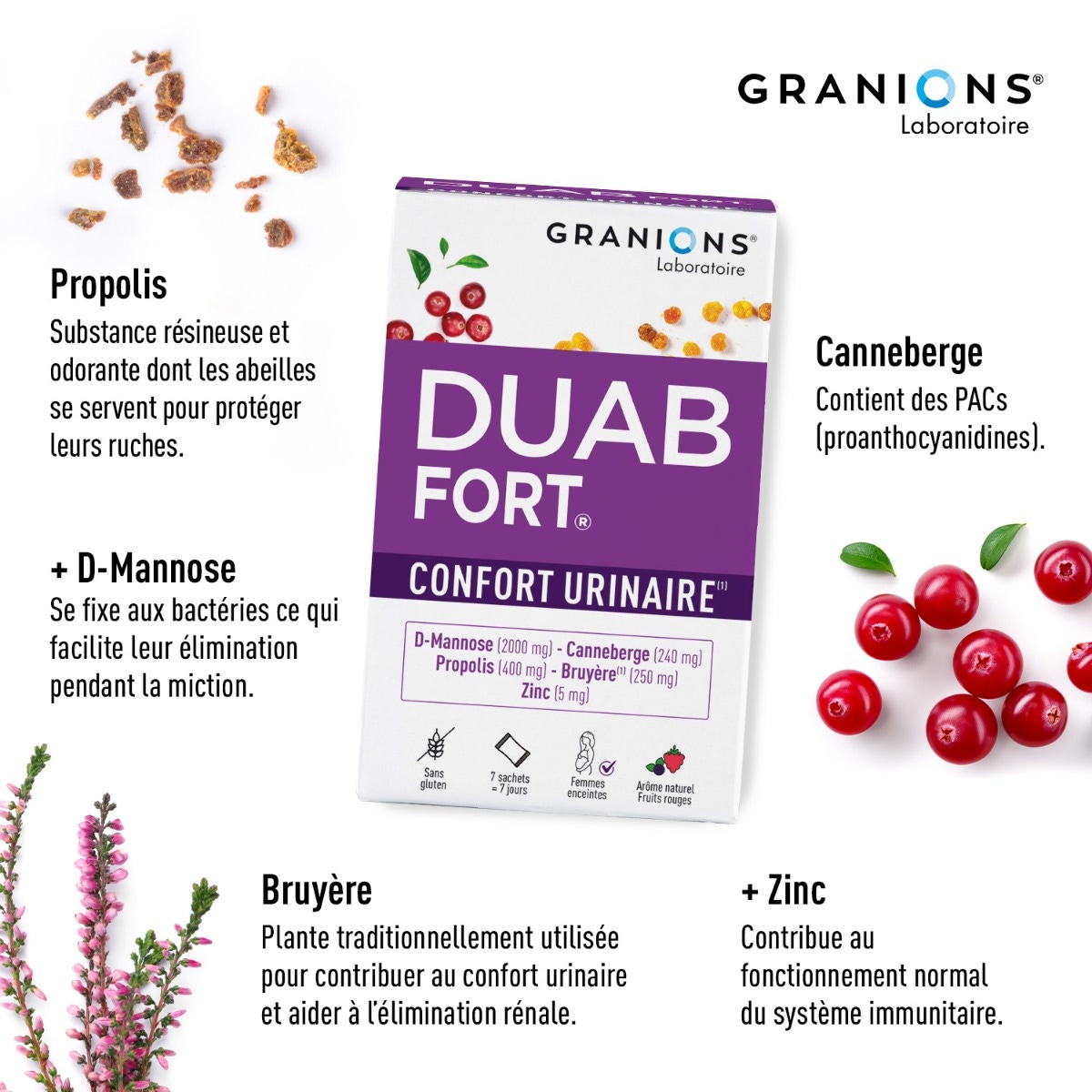 DUAB FORT 