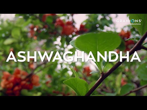 GRANIONS ASHWGANDHA :  Une vie plus saine et équilibrée