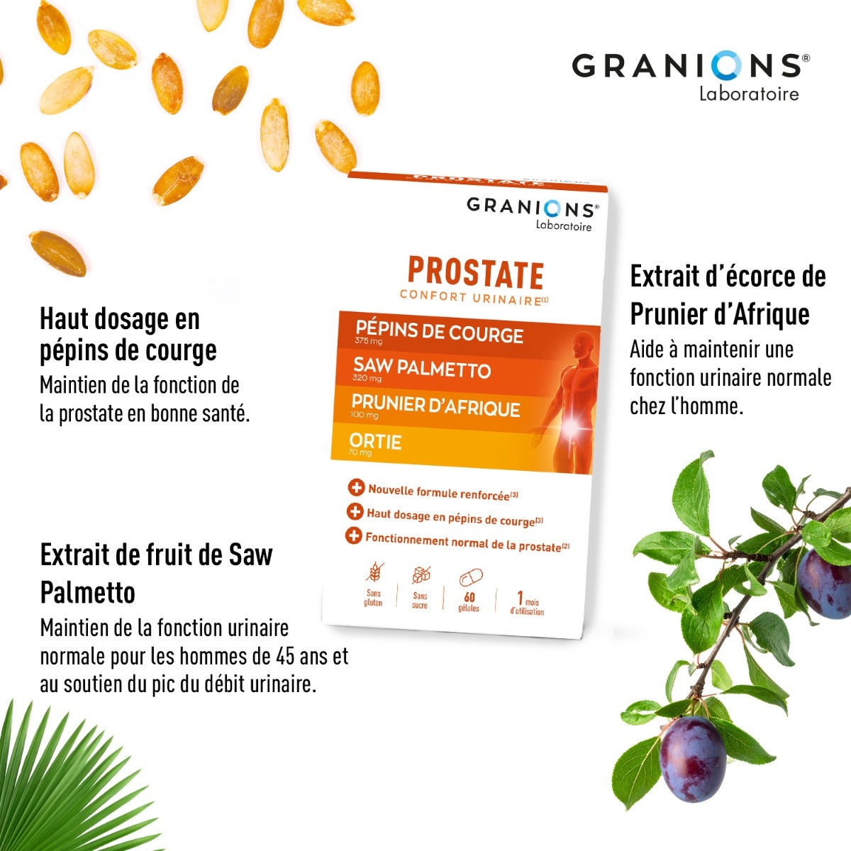 Lotto di 2 Granions Prostate