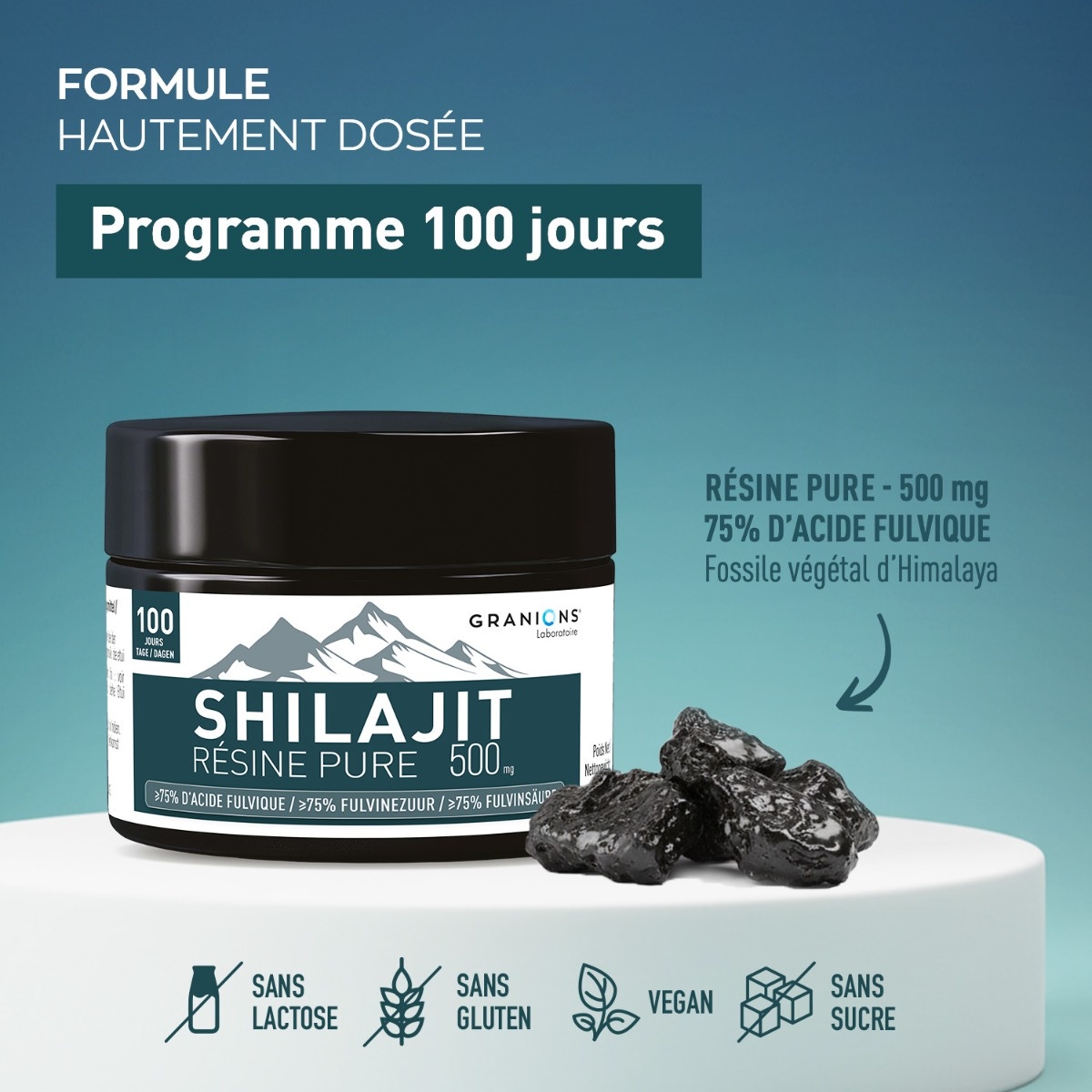 GRANIONS - Shilajit résine pure 500mg - formule hautement dosée - programme de 100 jours