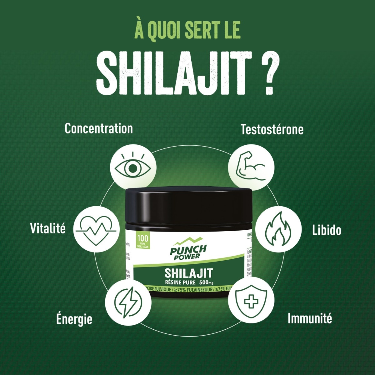 Punch Power - Shilajit Résine