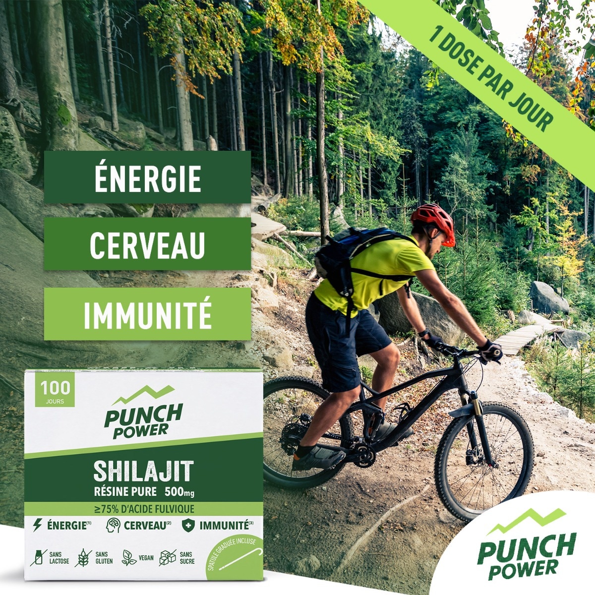 Punch Power - Shilajit Résine